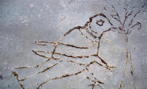 Divulgação / 29ª Bienal de São Paulo