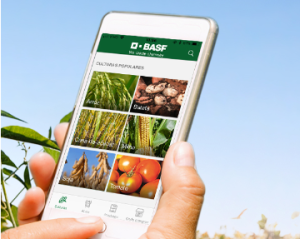 basf
