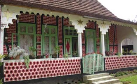 Divulgação/Selma Tronco